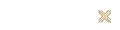 Synergetx
